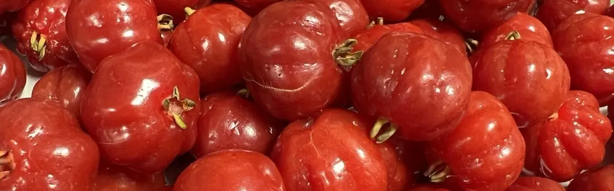 Roselle