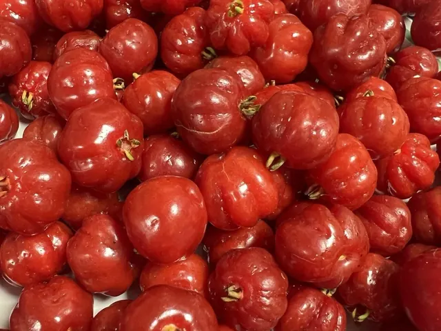 Rare Edible Plants and Useful Garden Plants